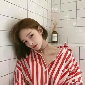 雌雄双谍